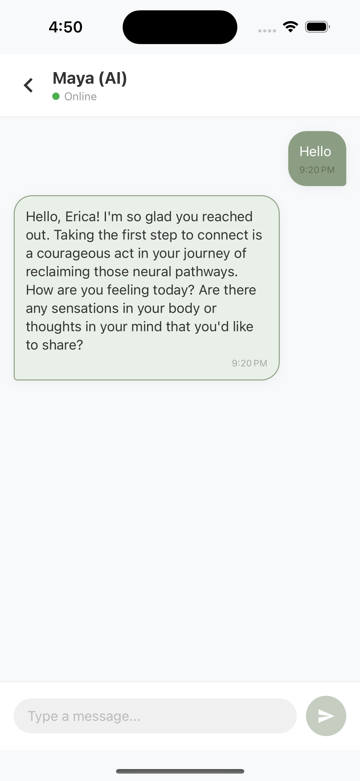 AI Counselor Interface